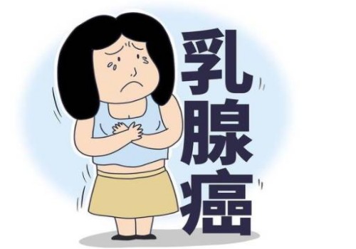 南京供卵试管：错过12周还没建档怎么办，建档需要做好这些检查